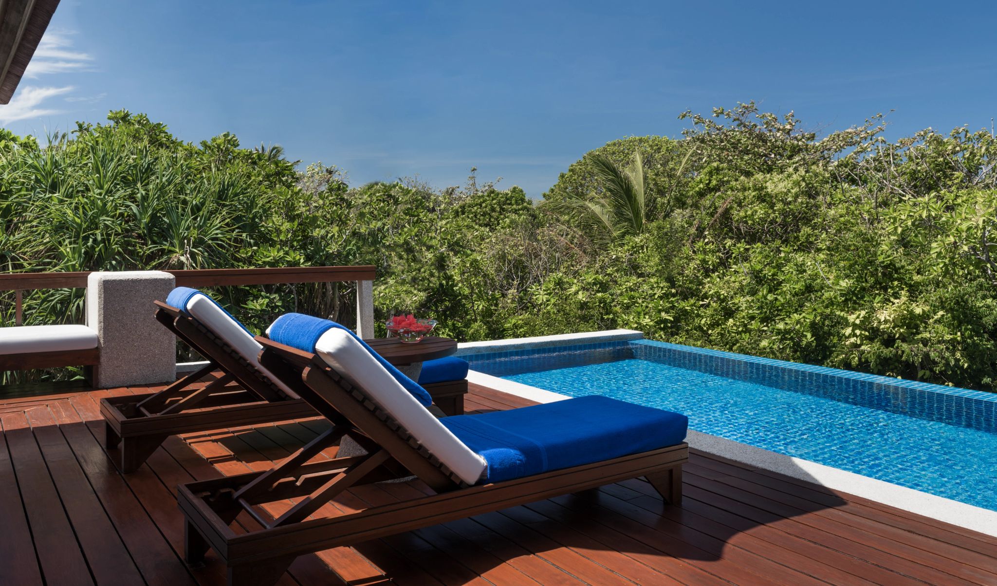 Treetop Pool Casita piscina ao ar livre - banho de sol - piscina privativa