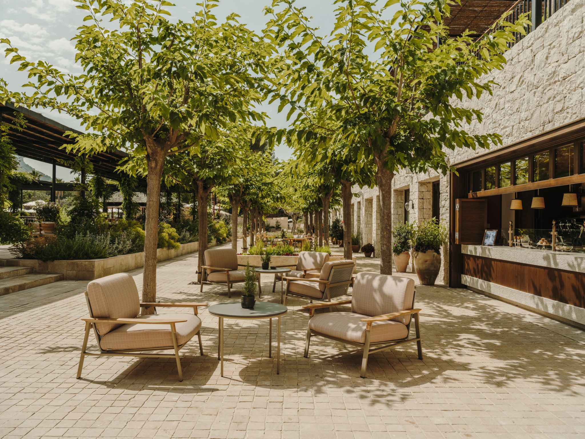 area de jantar externa - cercada por arvores - design contemporaneo