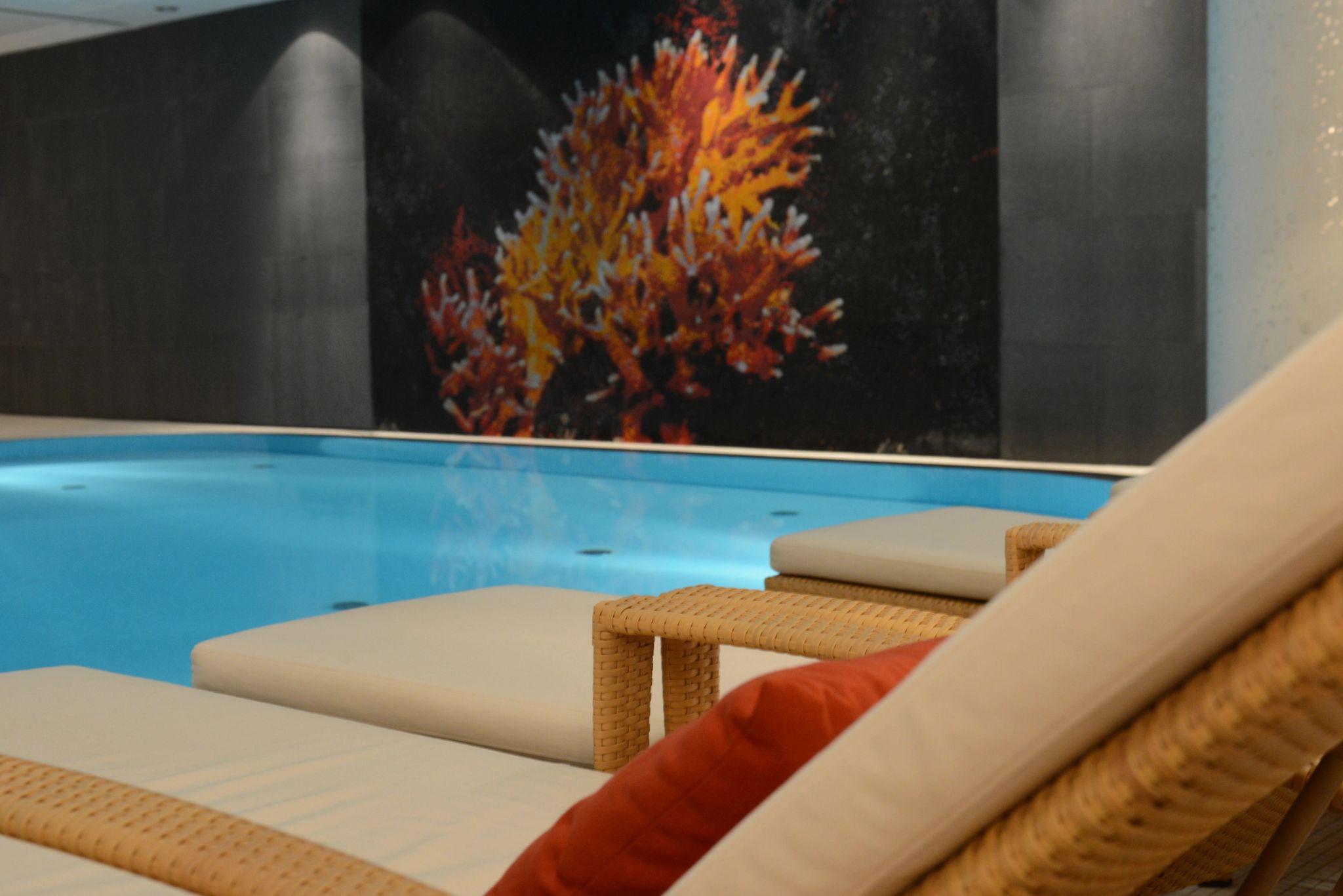 piscina de luxo – piscina de hotel – piscina interna