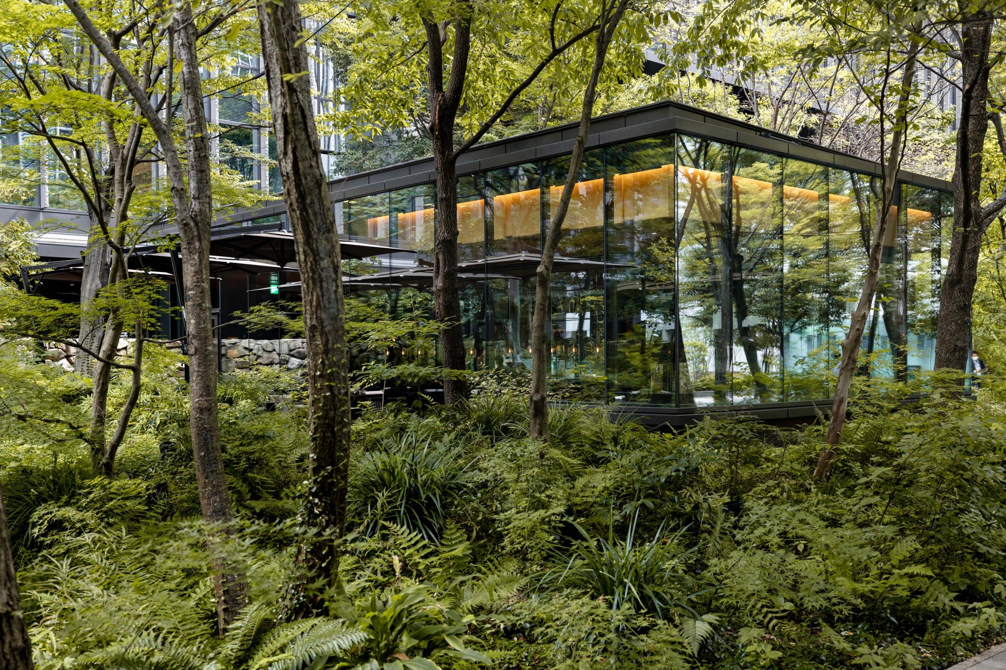 jardim japones - hotel natureza