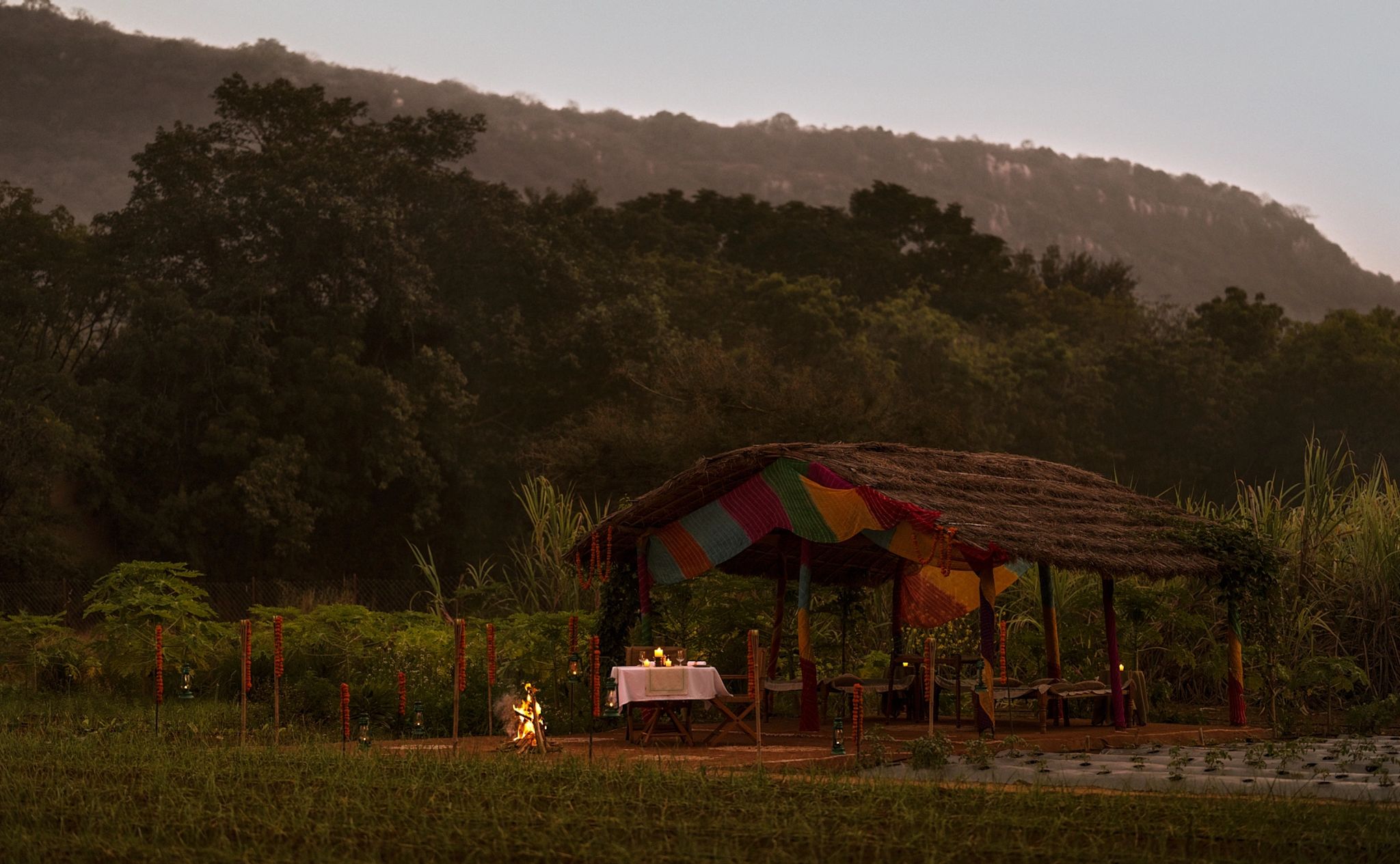 Horta orgânica horta organica - comida saudavel - natureza