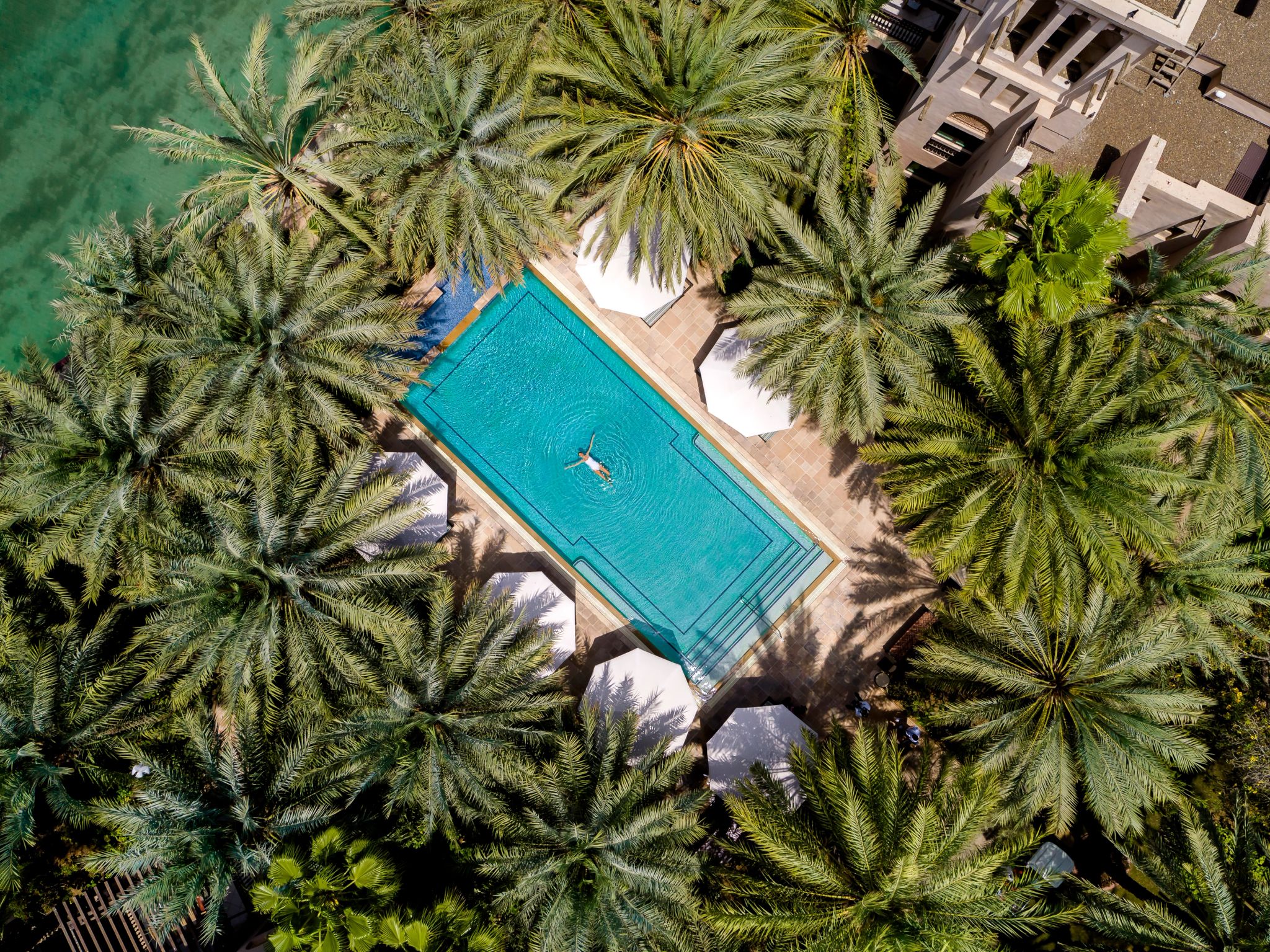 piscina cercada por palmeiras em vila de luxo no jumeirah dar al masyaf 