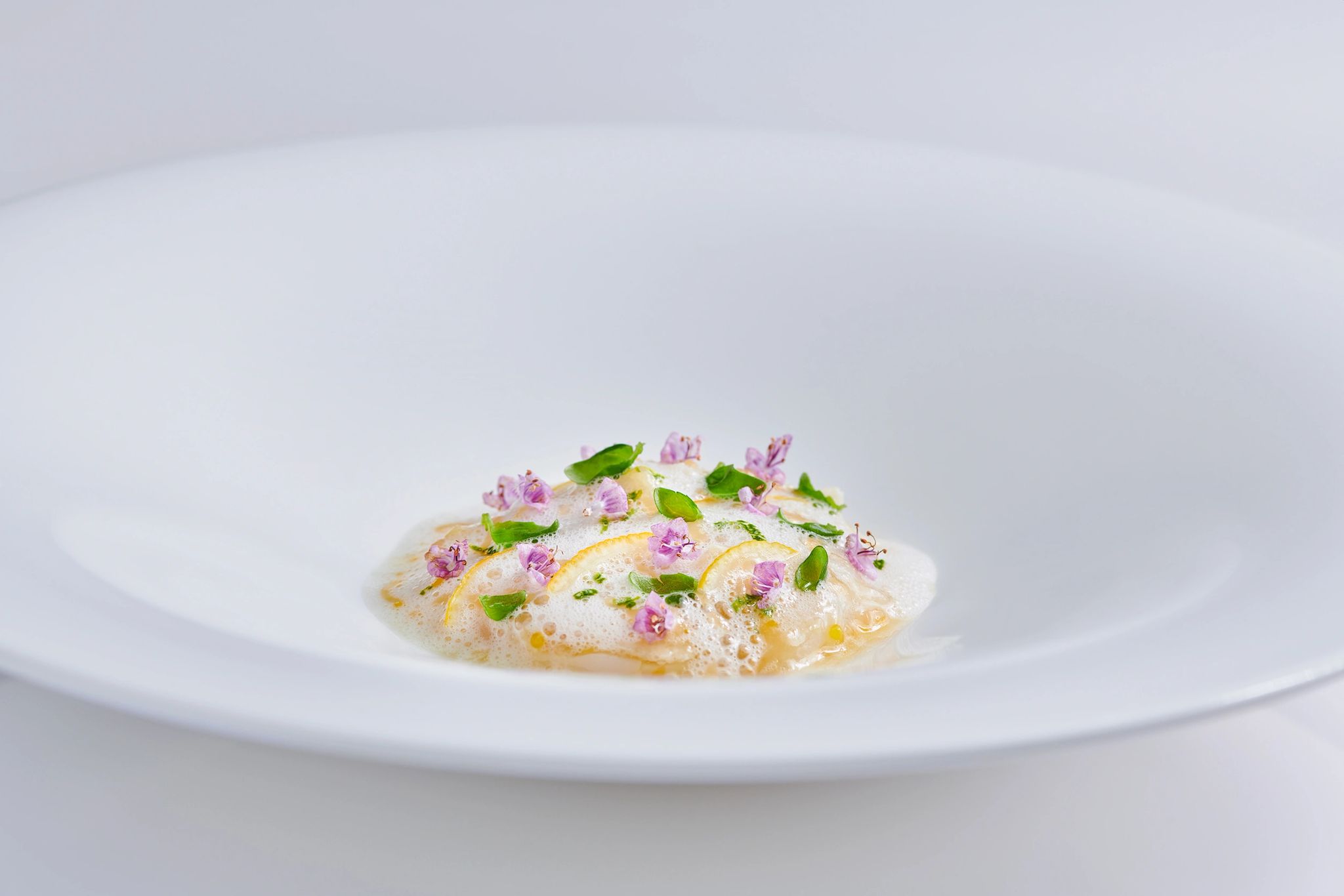 prato gourmet - chef michelin - restaurante michelin - comida vegetariana - comida saudavel