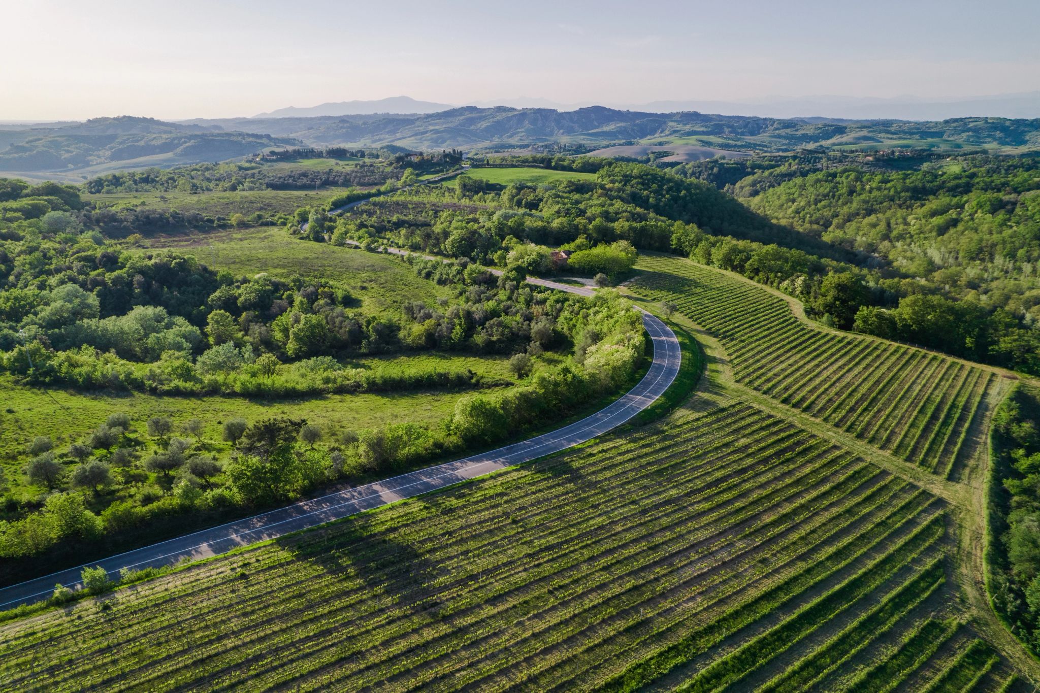 vinicola - produçao de vinho – vinhos premium - vinhos artesanais - natureza