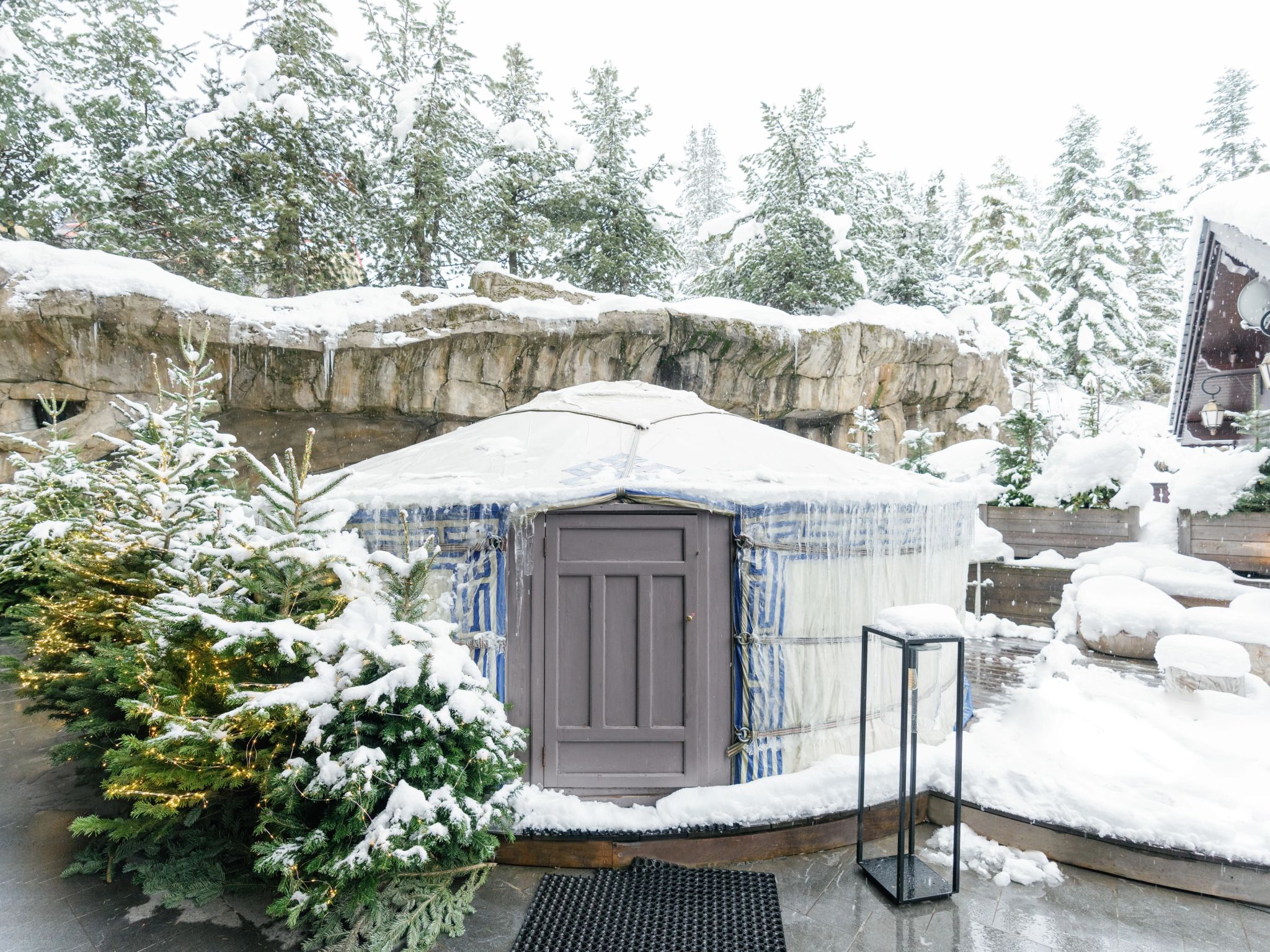 The Cigar Yurt chale alpino – neve - the cigar yurt – arvores com neve