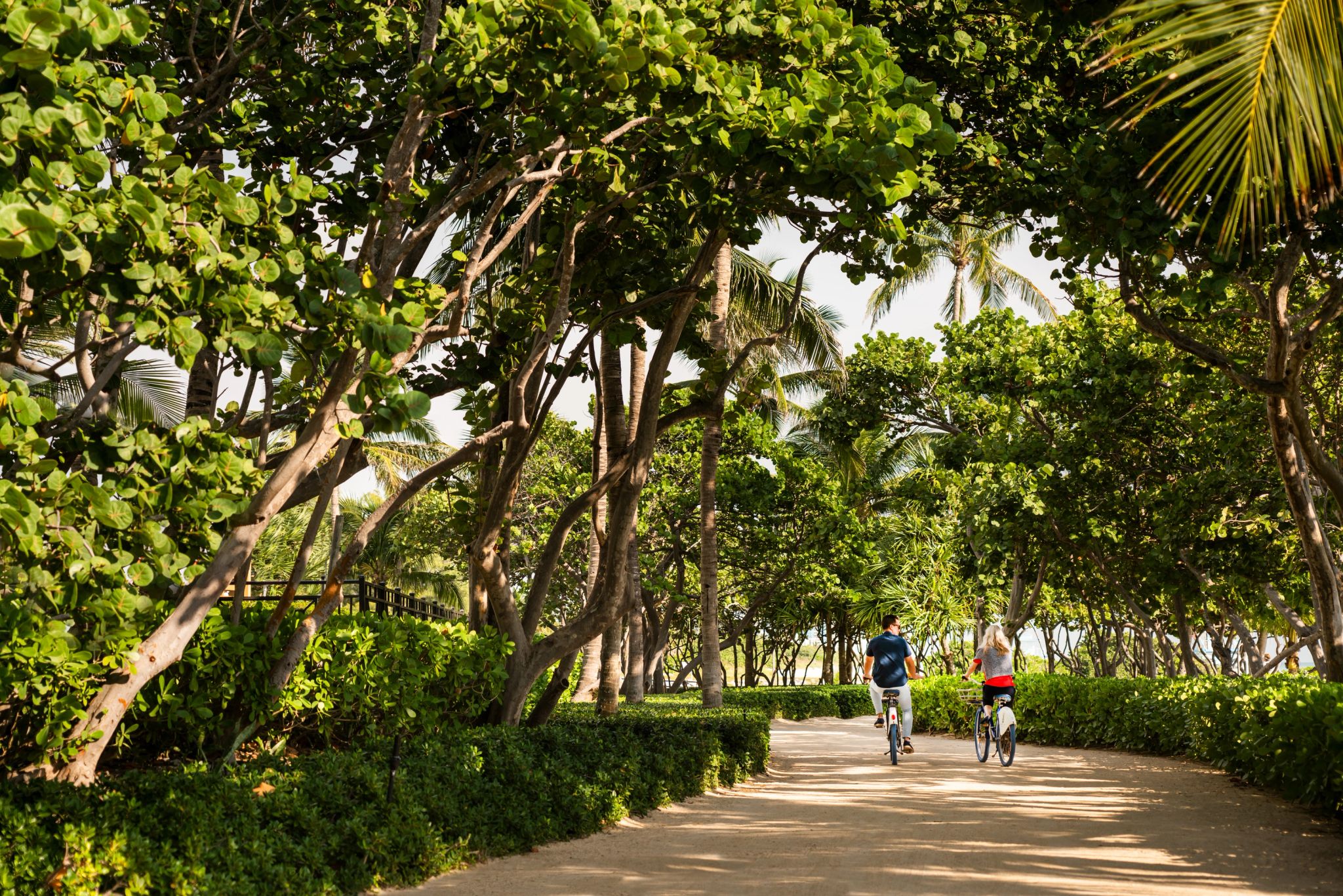 passeio de bicicleta - atividades de lazer - lazer em miami