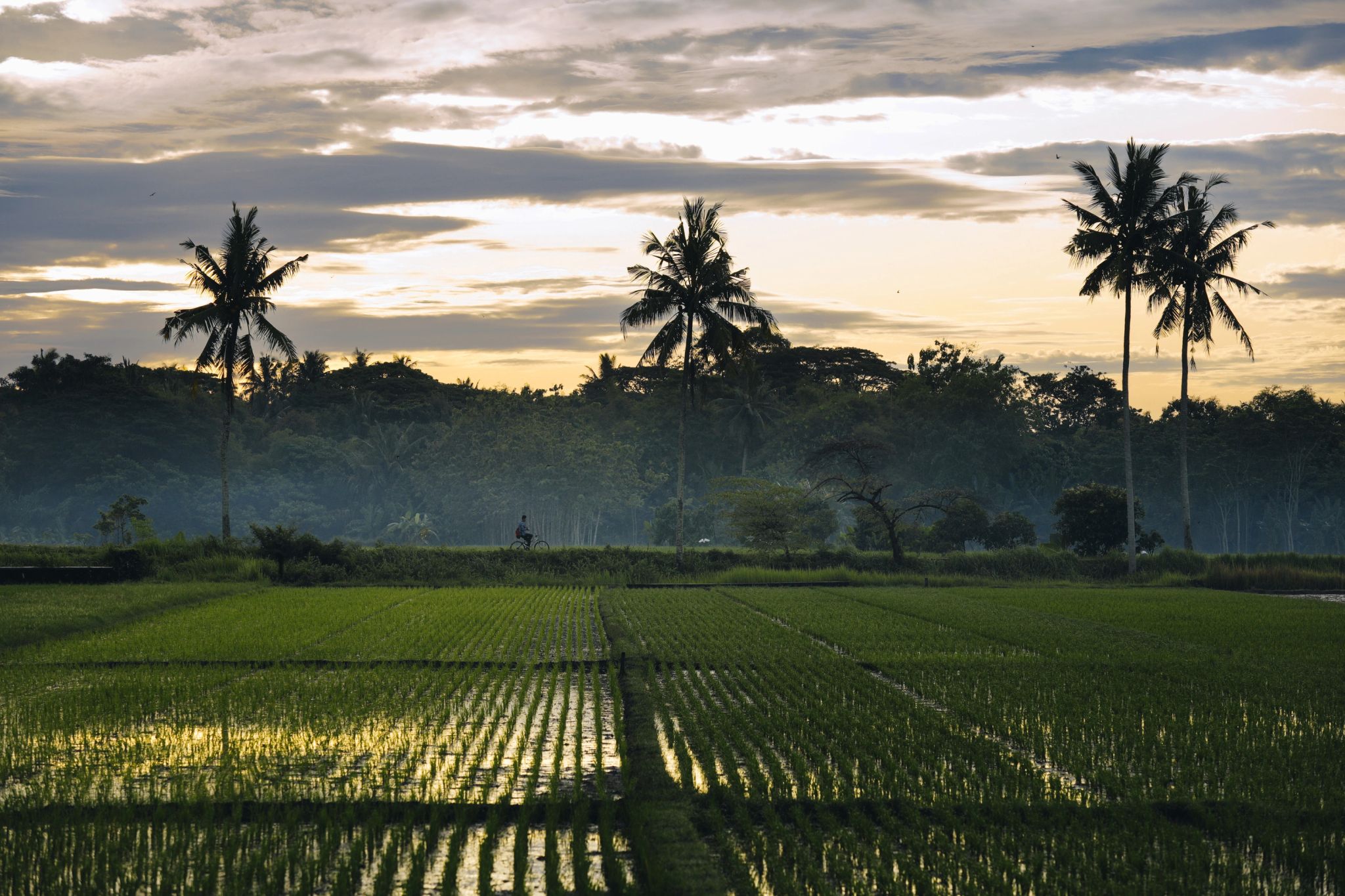 templo borobudur - amanjiwo - experiencia premium