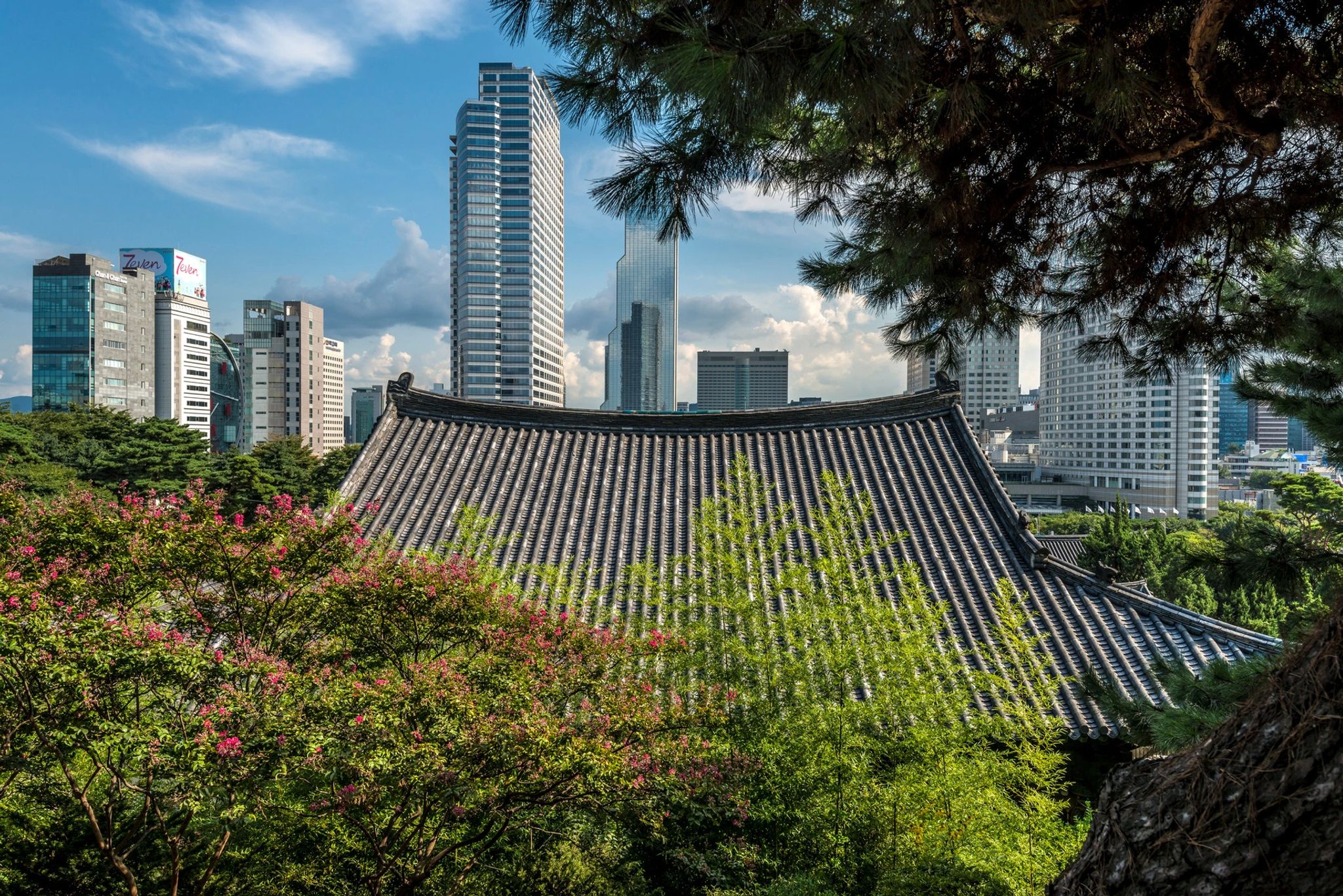 Tours pela cidade paisagem urbana - cultura de seoul - visita a templos