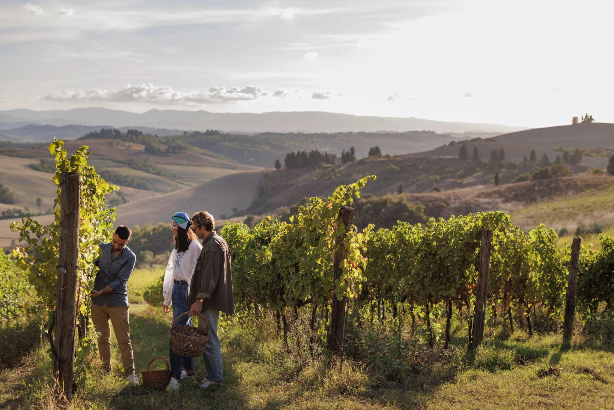 vinicola - vinicola italiana - experiencia gastronomia - degustaçao de vinhos