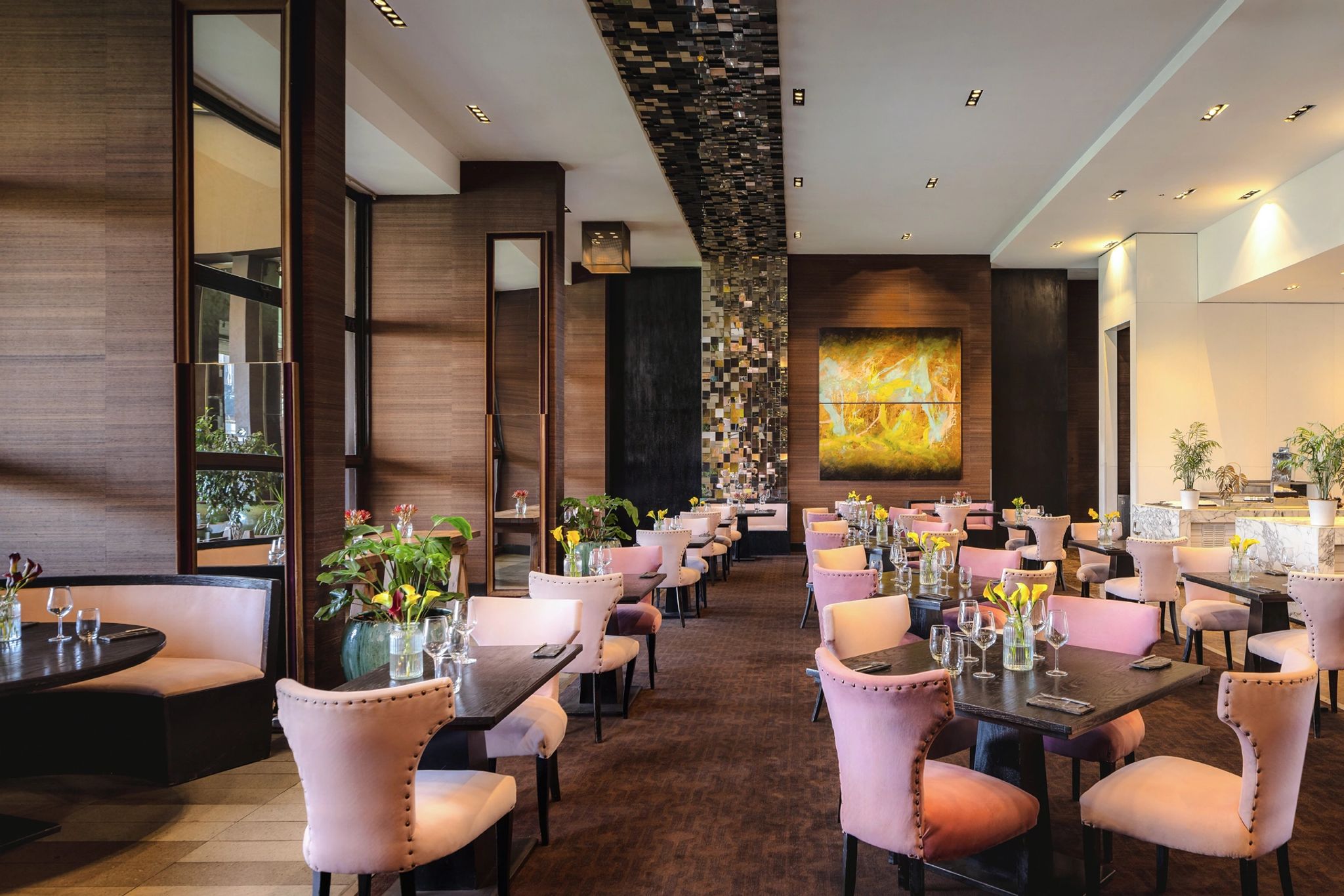 NoSo culinaria mediterranea - decoraçao elegante – jantar de luxo