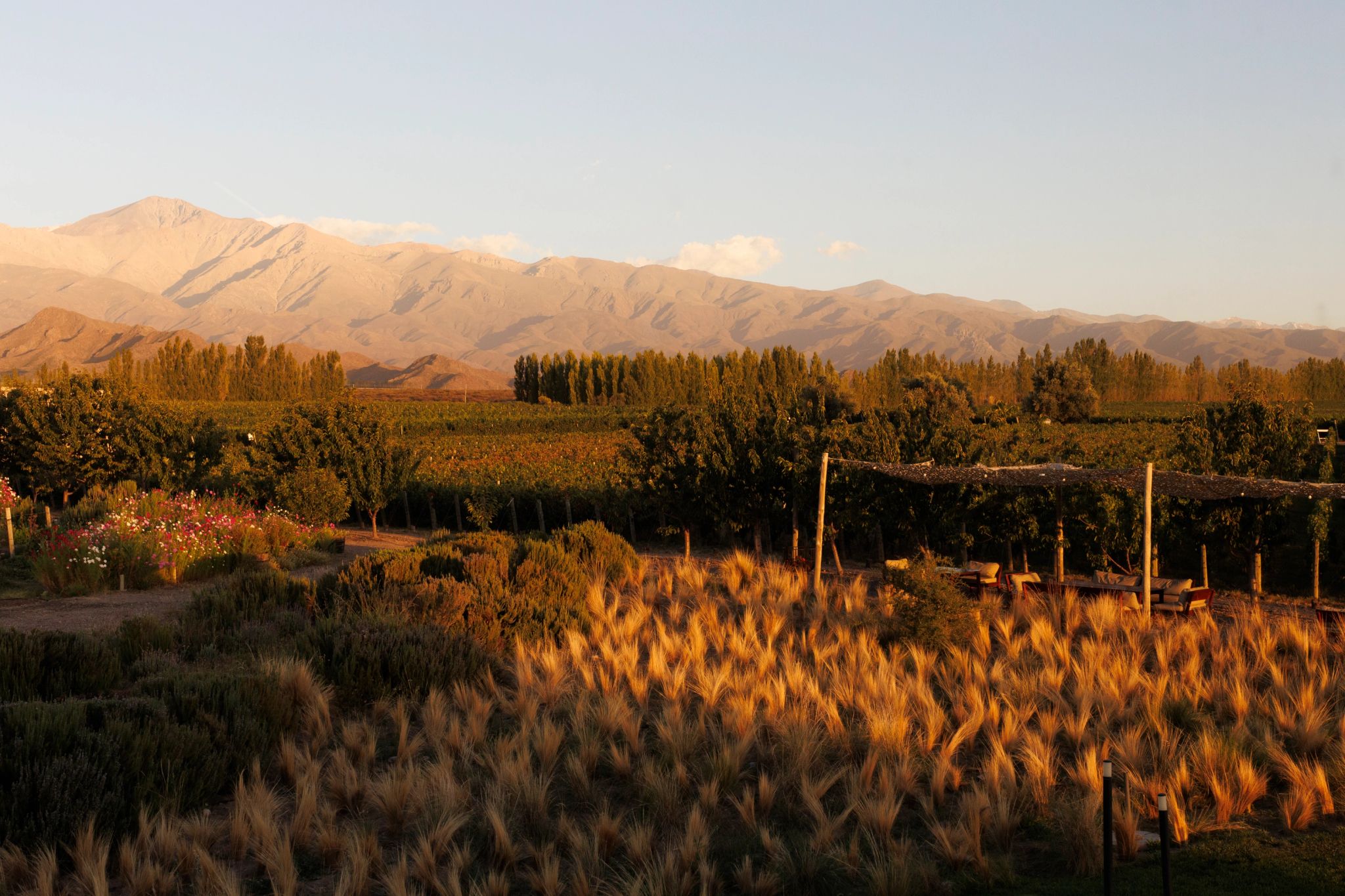 Hotel Casa de Uco Vista estrutura de pérgola em meio à vegetação natural no casa de uco