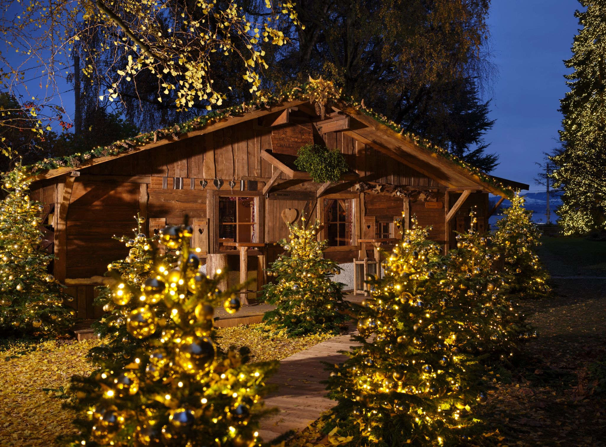 le chalet - cabana natal - cabana de inverno