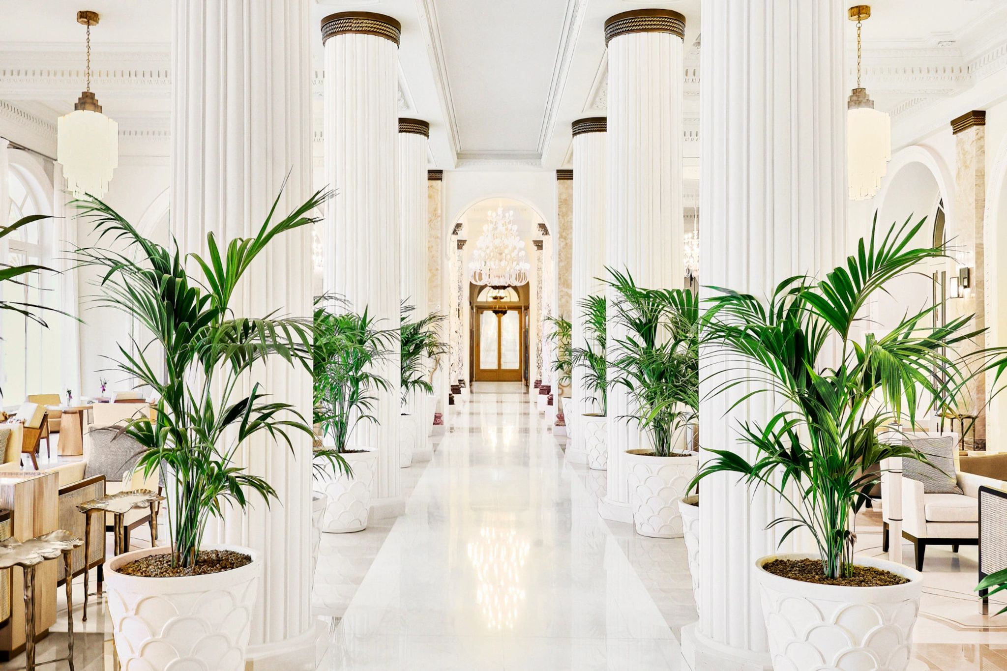 Camélia Tea Lounge design moderno - lounge de luxo - lounge cha da tarde