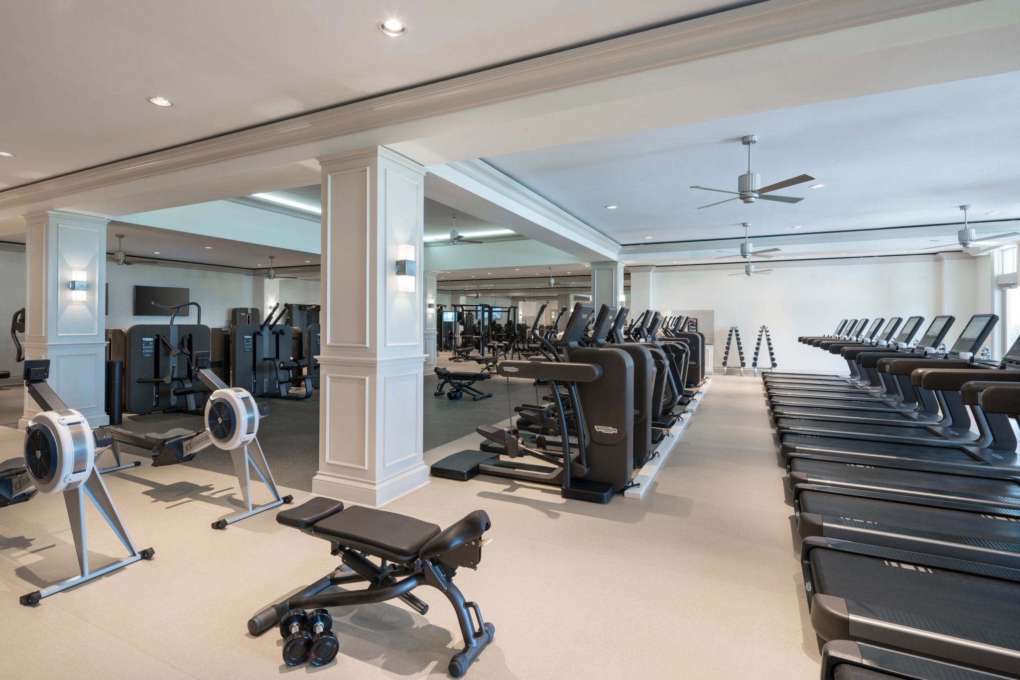 academia moderna - espaço fitness - equipamentos de academia