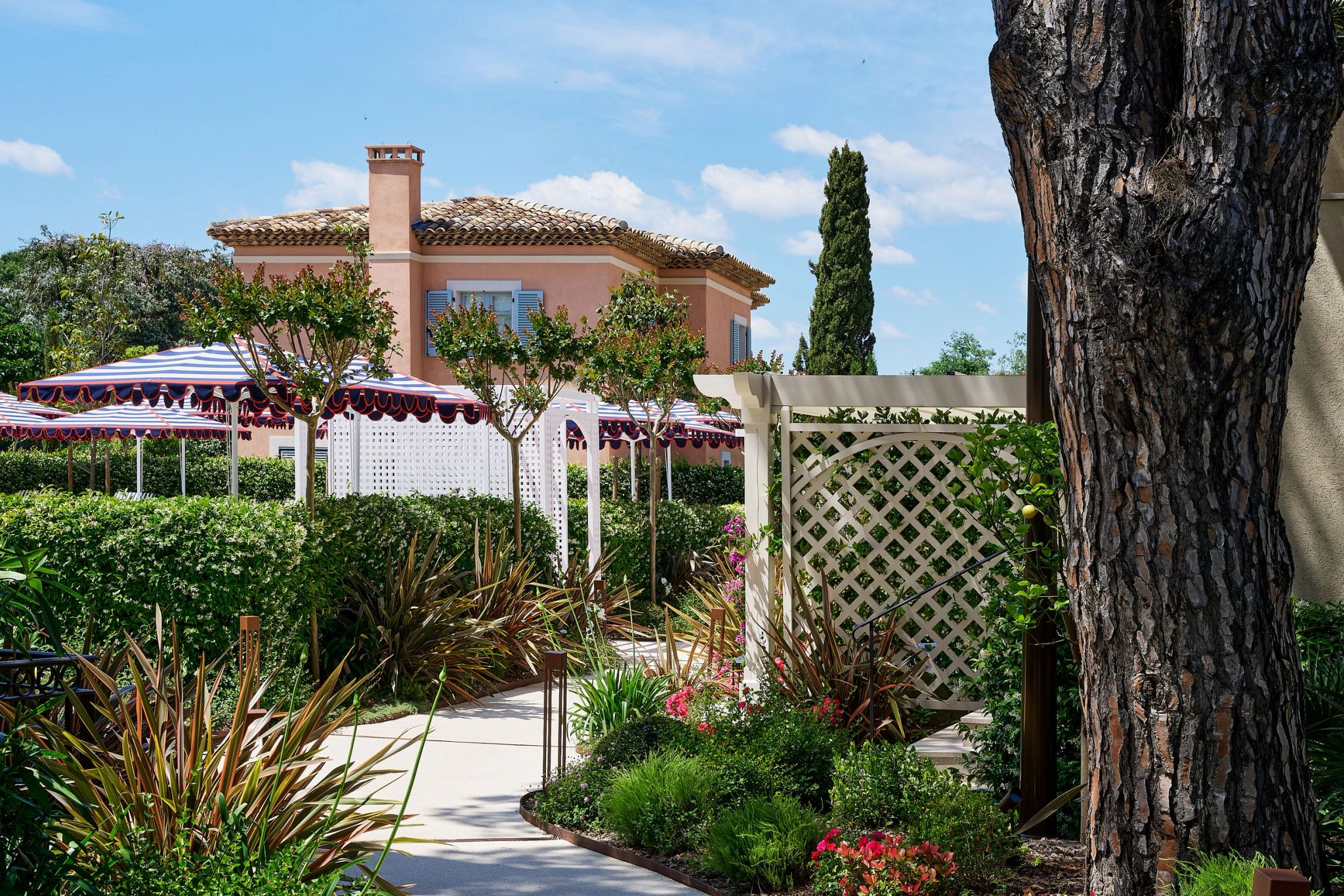 Jardins caminho jardim verde - passeio hotel luxo - area zen