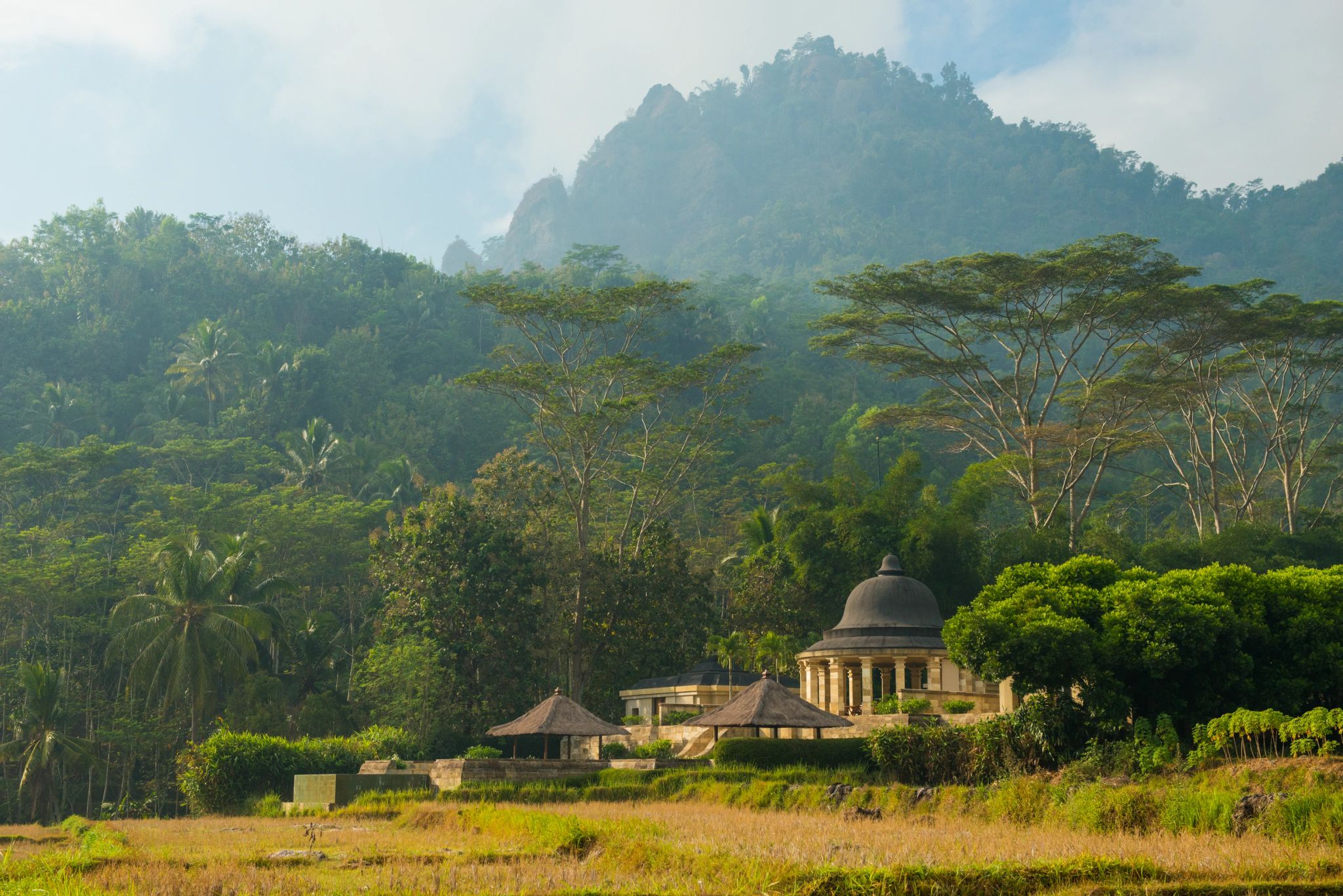 Dalem Jiwo Suite suite - area externa - vista privilegiada