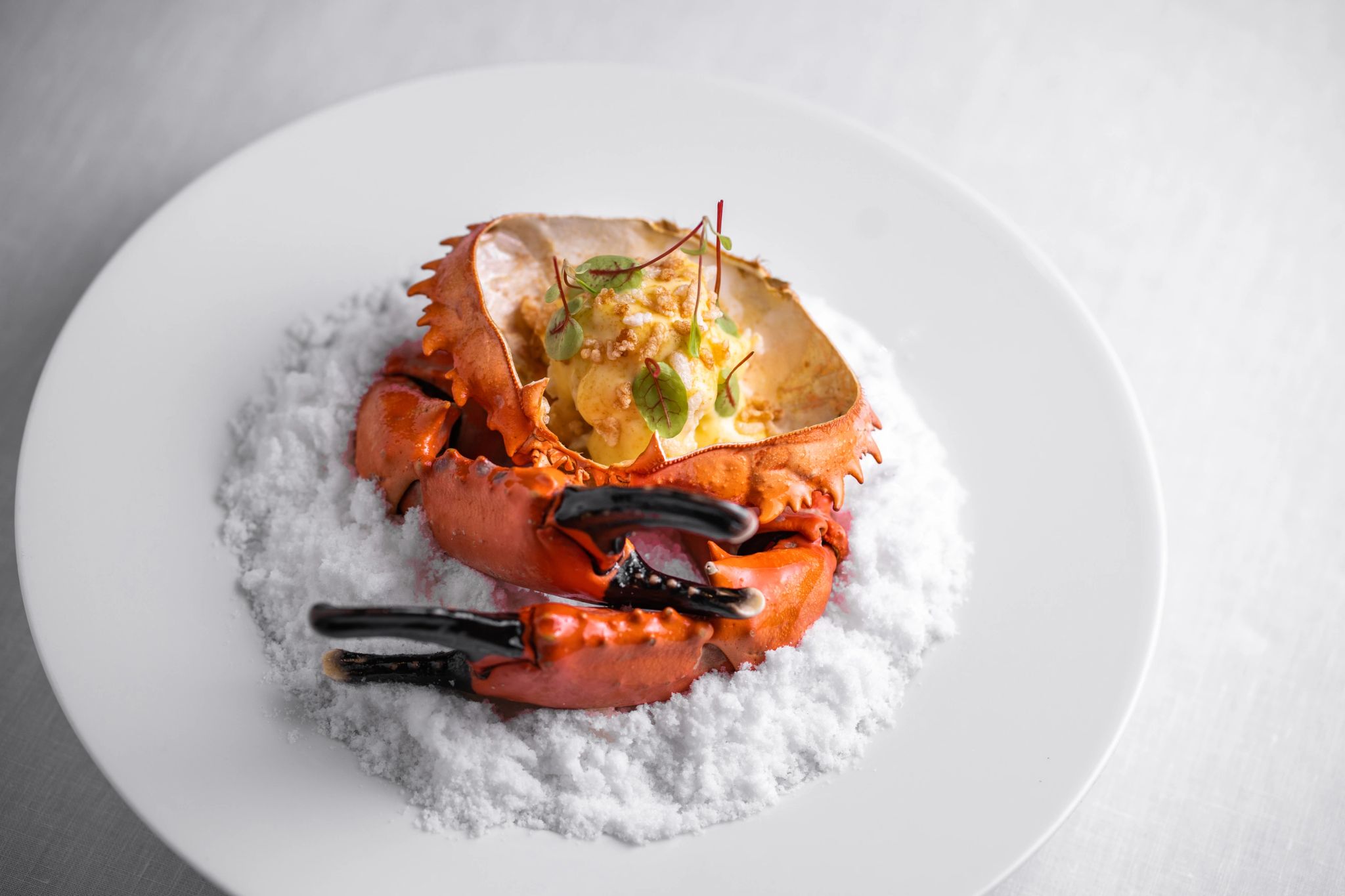 pratos gourmet – caranguejo – alta gastronomia