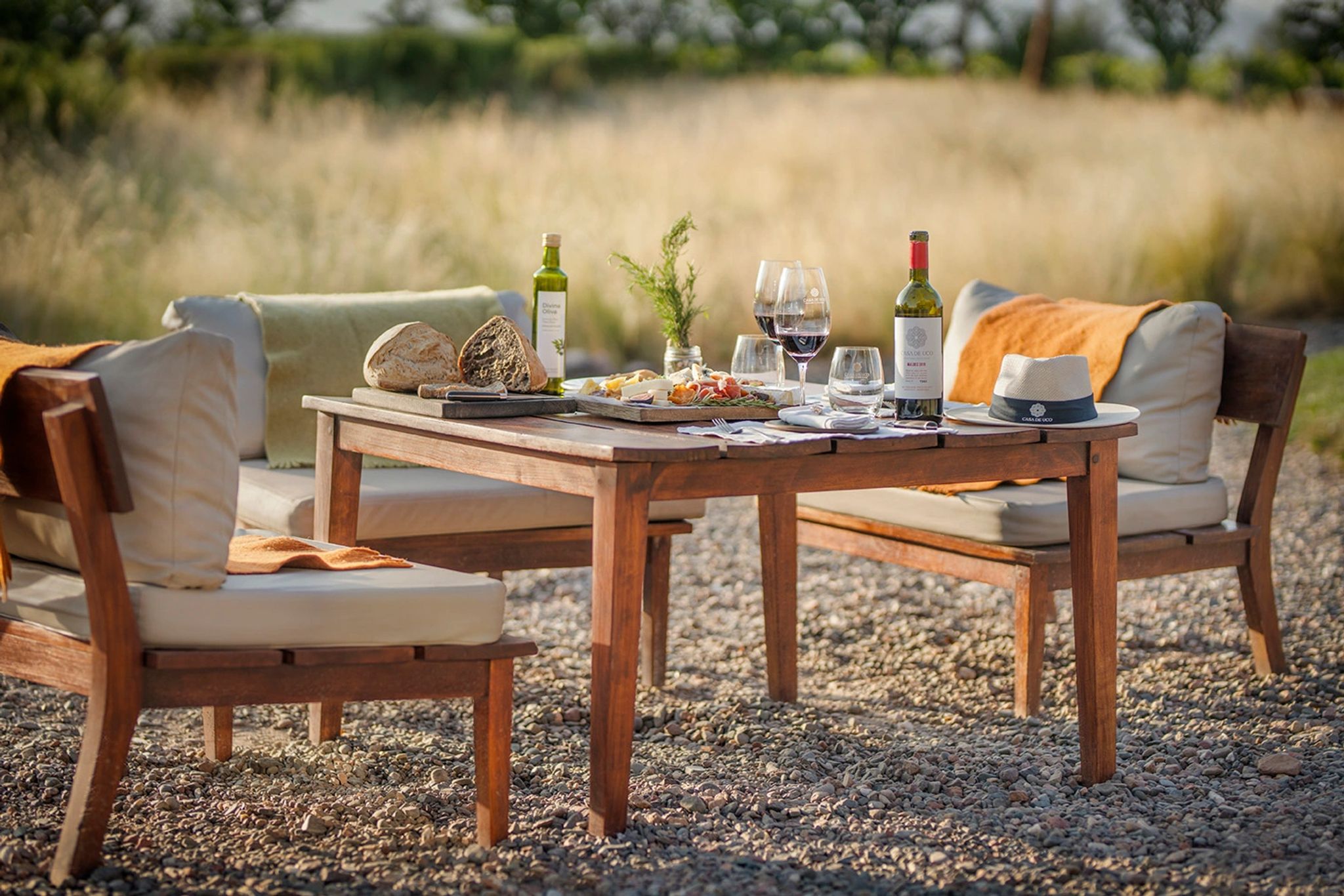 Experiência do Hotel tábua de frios e vinho em área externa exclusiva entre os vinhedos