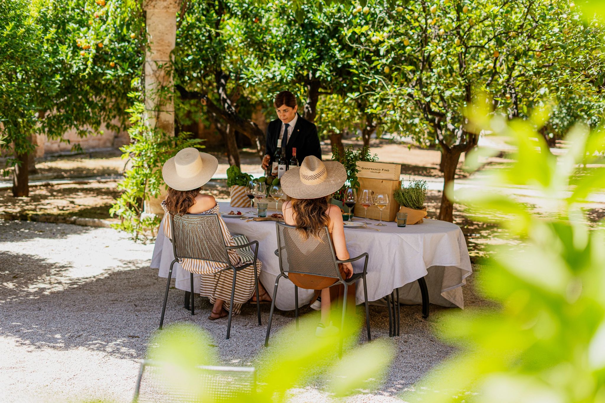 degustaçao de vinho – vinhos finos - experiencia gastronomia - sommelier de vinhos