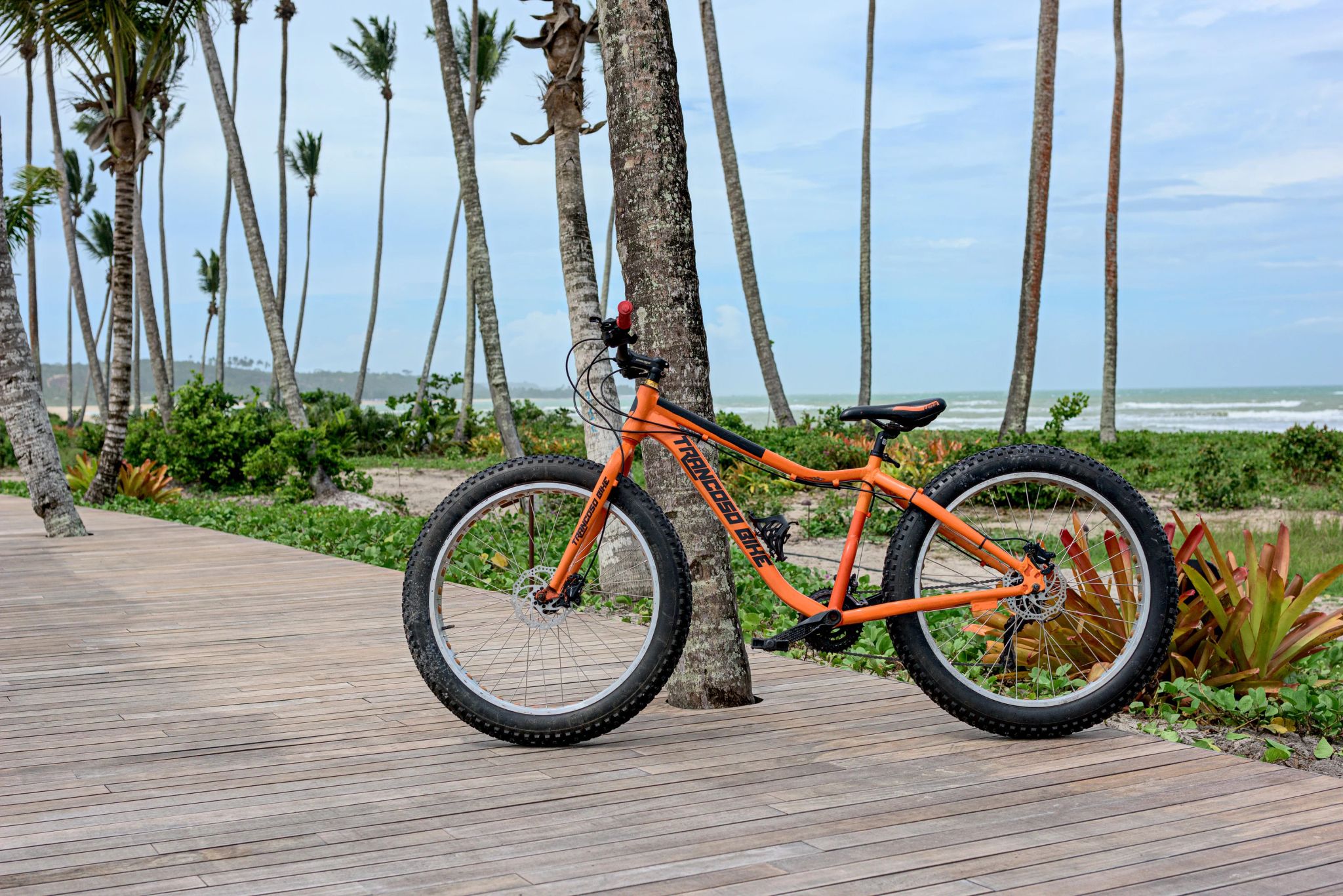 passeio de bicicleta do fasano - fasano trancoso