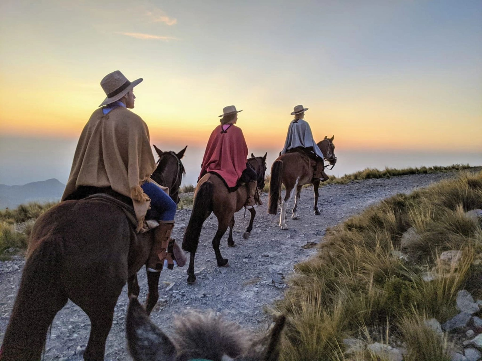 paisagem natural – contato com a natureza – passeio a cavalo