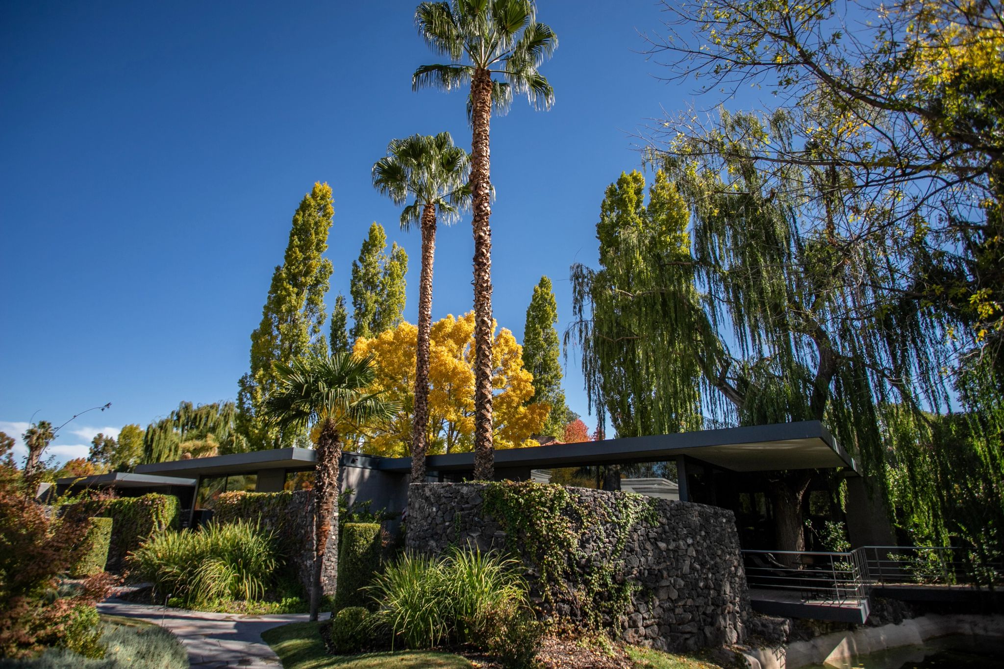 Jardim hotel com jardim – natureza - mendoza