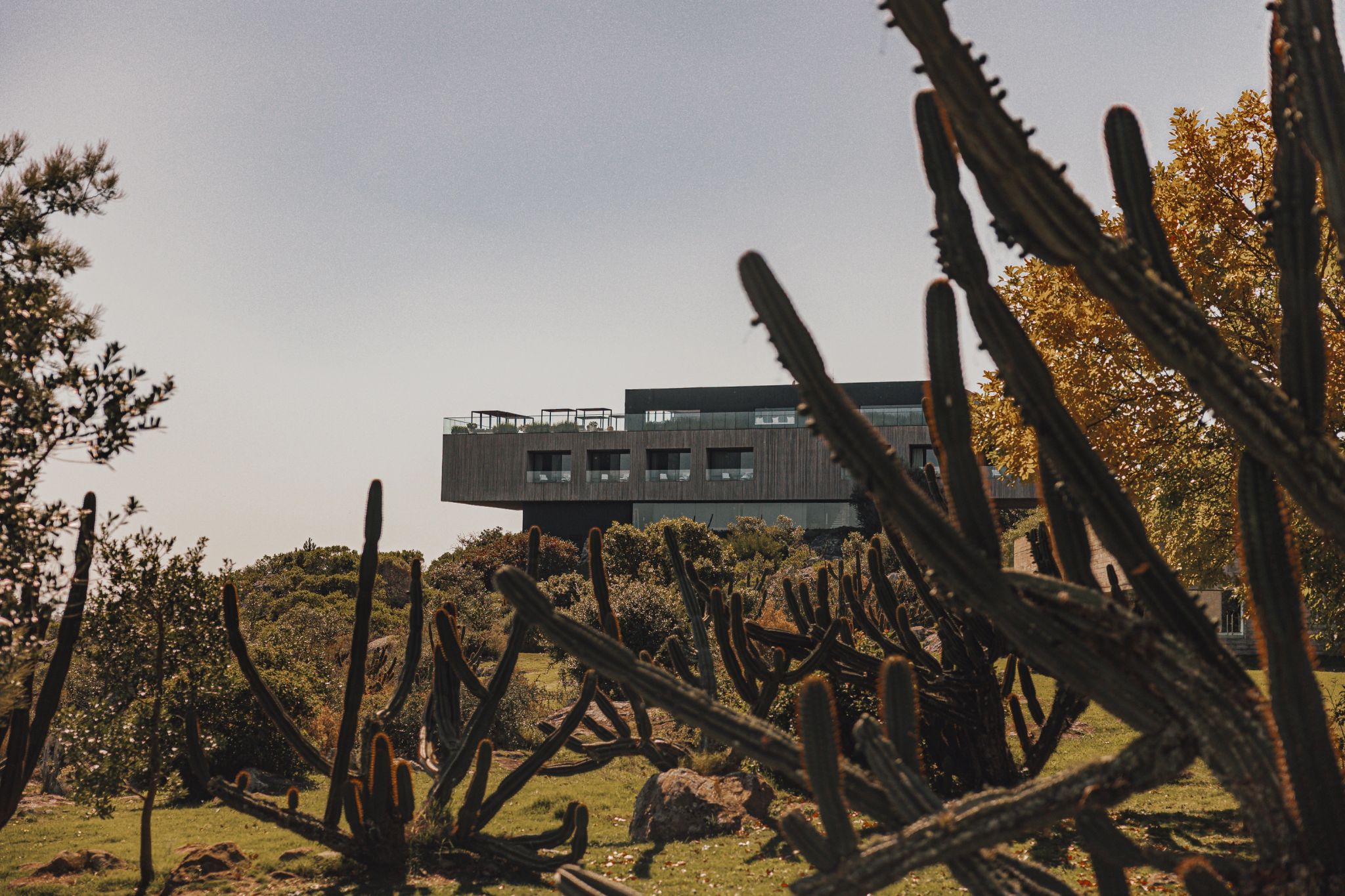 Áreas comuns do hotel jardim privativo - natureza - hotel 5 estrelas - viagem pro campo
