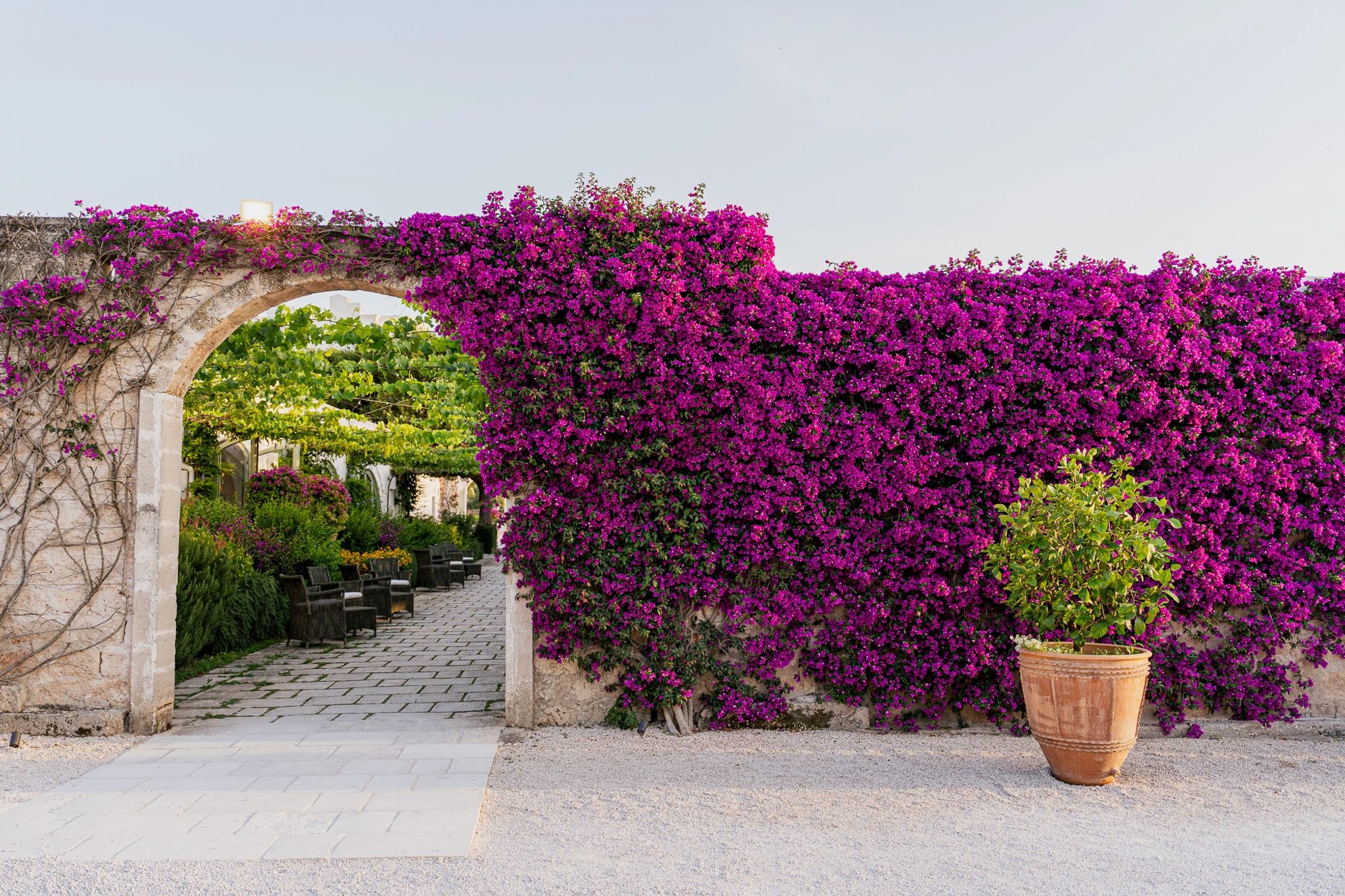 espaço ao ar livre - jardim - primavera - hotel no campo – paisagem natural