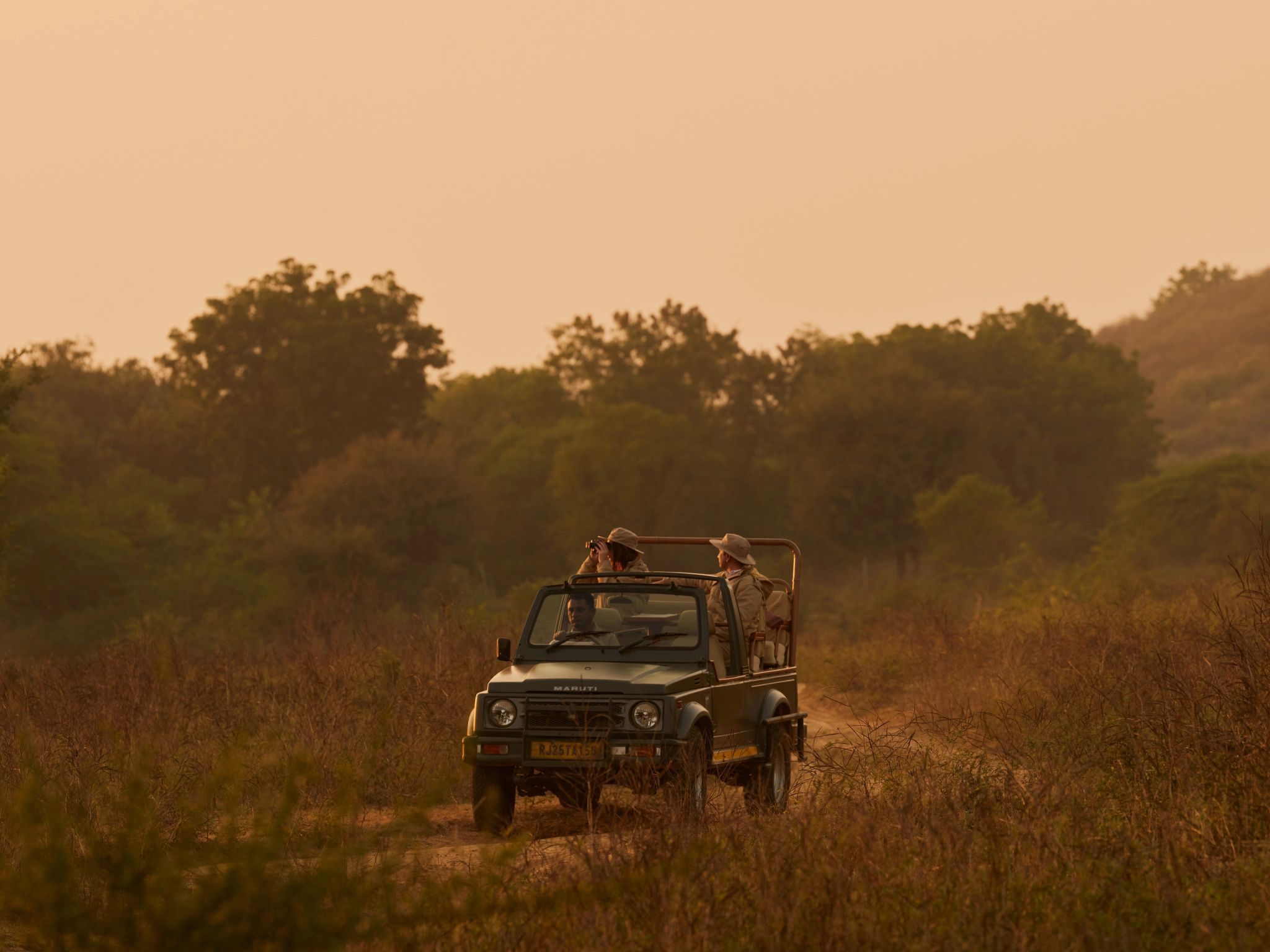 safari - safari na india - natureza - observaçao de animais
