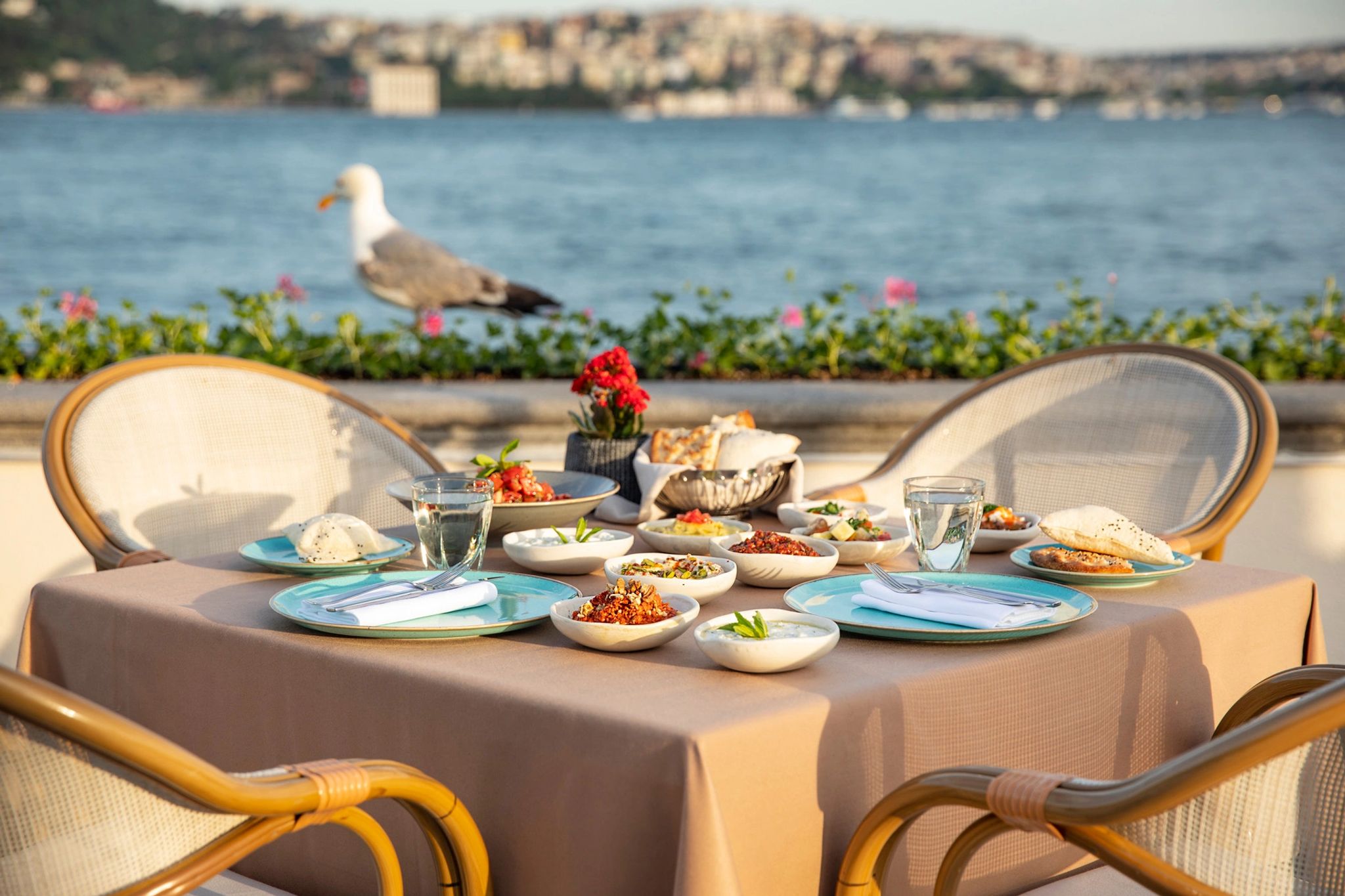 terraço vista mar - mesa posta – pratos gourmet – alta gastronomia 